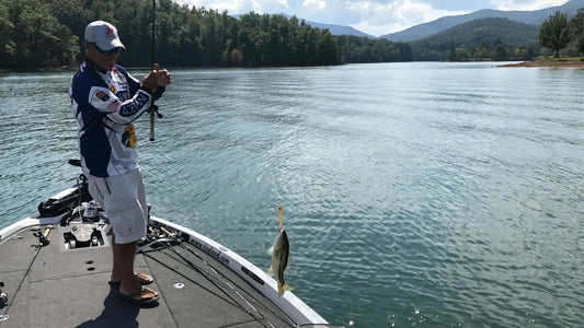 Lake Chatuge Fishing: Tips and Tricks for Successful Angling