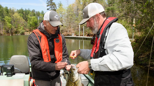 Lake Santeetlah Fishing: Tips and Tricks for Successful Angling