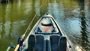 Reelfoot Lake Fishing: Tips and Tricks for a Successful Trip