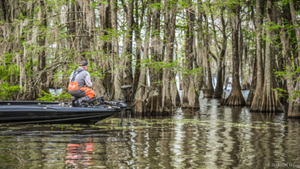 Lake Moultrie Fishing: Tips and Tricks for a Successful Trip
