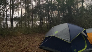 Lake Talquin Camping: Best Tips for Your Outdoor Adventure