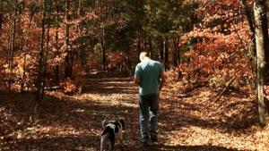 Lake Wylie Hiking: Explore the Best Trails in the Area