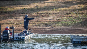 Norris Lake Fishing: Expert Tips For Successful Angling