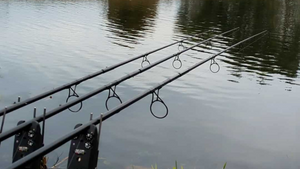 Lake Burton Fishing: Tips and Tricks for Successful Angling