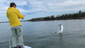 Lake Tarpon Fishing: Tips and Tricks for Success
