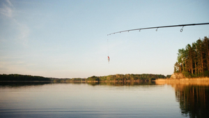 Lake Fork Fishing: Expert Tips and Techniques for Success