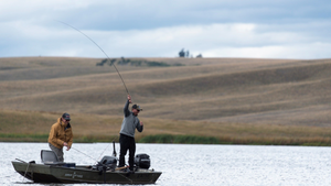 Douglas Lake Fishing: Expert Tips For Successful Angling