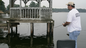 Lake Wateree Fishing: Expert Tips and Techniques for Success