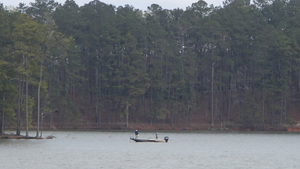 Lake Allatoona Fishing: Tips and Tricks for Successful Angling