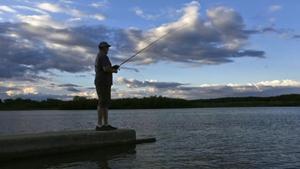 Lake Shelbyville Fishing: Tips and Tricks for Success