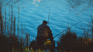 Lake Okeechobee Fishing: Tips and Tricks for Success