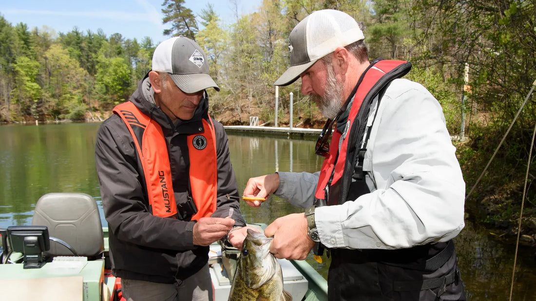 Lake Santeetlah Fishing: Tips and Tricks for Successful Angling