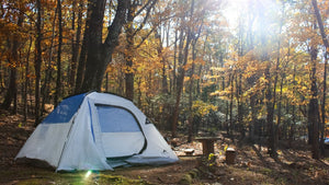 Blue Ridge Lake Camping: Best Tips for Your Next Adventure