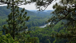 Lake Allatoona Hiking: Best Trails and Tips for Outdoor Enthusiasts