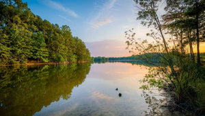Lake Hickory Fishing: Tips and Tricks for Success