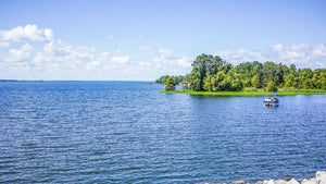 Lake Moultrie Camping: Essential Tips for Your Next Trip