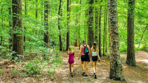 Lake Norman Hiking: Explore the Best Trails at saFishing