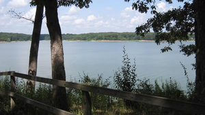 Lake Shelbyville Camping: Top Tips for Your Next Adventure