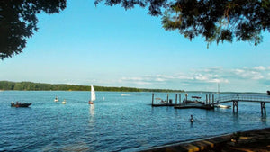 Lake Wateree Camping: Essential Tips for Your Next Adventure