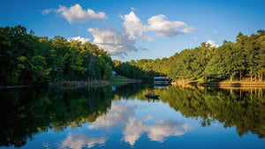 Lake Wylie Fishing: Expert Tips and Techniques for Success
