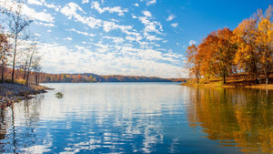 Monroe Lake Fishing: Tips and Tricks for Anglers