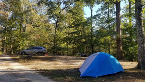 Norris Lake Camping: Top Tips For A Memorable Outdoor Adventure