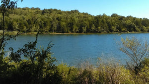 Percy Priest Lake Hiking: Best Trails and Tips for Adventure