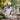 Man grilling outdoors with a beer, surrounded by greenery and other people in the background wearing a performance snapback.