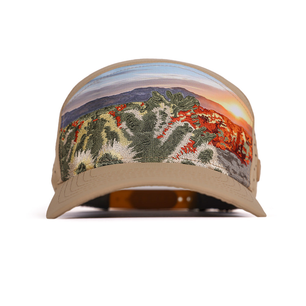 Performance Snapback|SA-30813-LTKH